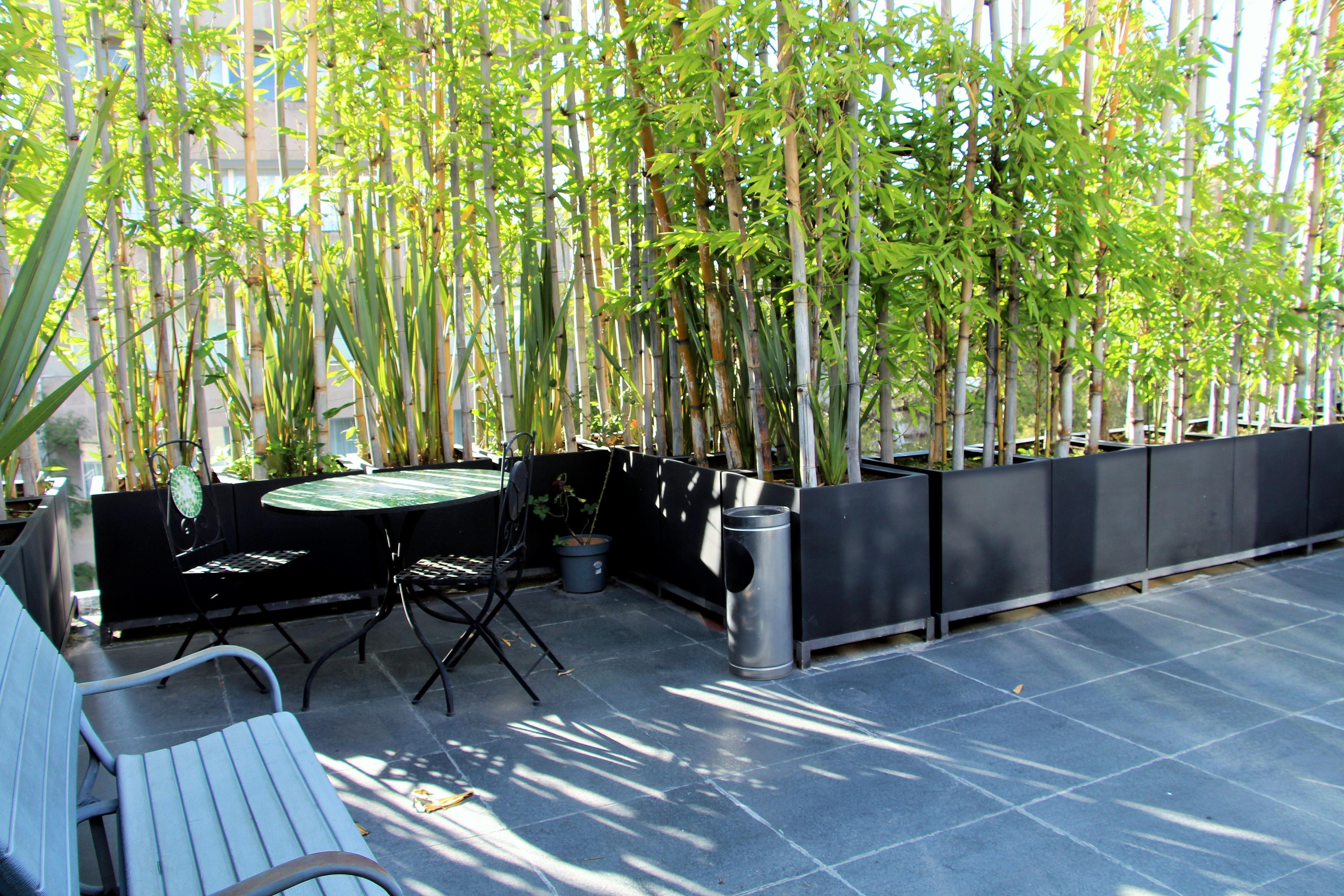 Residence L' Heritage Hipolito Taine By Bluebay Mexico City Exterior photo